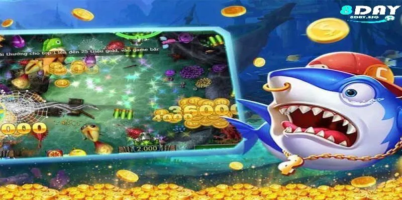 Chức Năng Kết Nối Xã Hội và Giao Lưu Cộng Đồng