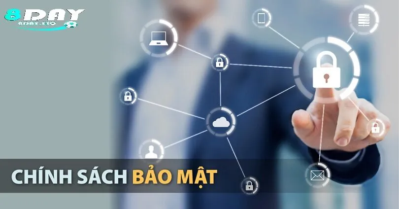Hạ tầng lưu trữ và phân loại dữ liệu